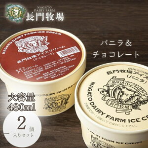 yӂ邳Ɣ[ŁzqACXN[ 480ml 2Zbg oj `R[g XC[c