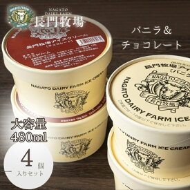 【ふるさと納税】長門牧場　自社製造アイスクリーム　贅沢大サイズセットバニラ2個チョコレート2個　人気スイーツ　濃厚ミルク　直送　牛乳　生乳　国産　夏ギフト　長野県　贈答品　お土産　お中元　お歳暮　クリスマス