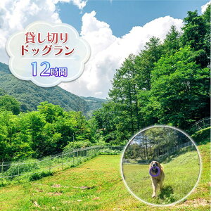 yӂ邳Ɣ[Łzݐ؃hbOpi12ԁj `Pbg ybgƂo o A Ƃo Sݐ ^ BBQ eg