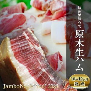 yӂ邳Ɣ[ŁzJamboNat P"Yeu" 2024@(MB؂Ōؐn10`12nj