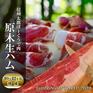 yӂ邳Ɣ[ŁzJamboNat P"TARO" 2024@(MBYہ[œؐn10`12nj