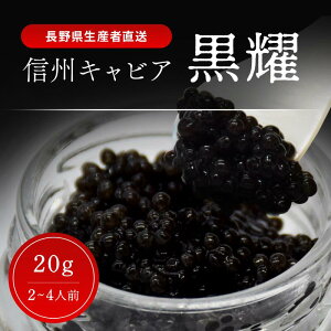 yӂ邳Ɣ[Łzs MBLrA 20g s MBLrA20g r LrAXv[t ϔ 쌧 ⓀLrA LrA LrA  Xv[t MB 쌧