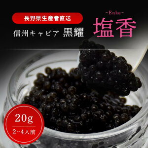 yӂ邳Ɣ[Łzs MBLrA  -Enka- 20g s MBLrA 20g r LrAXv[t ϔ 쌧 ⓀLrA LrA LrA  Xv[t MB 