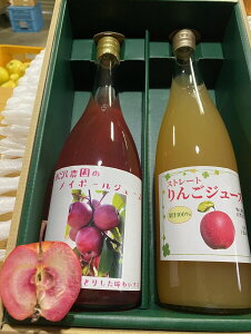 yӂ邳Ɣ[Łz002-003 yc6Zbg^6Zbgz̈ႢyŁI g񂲃W[X720ml@2{Zbg