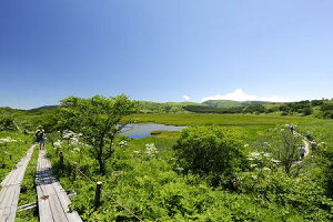 yӂ邳Ɣ[Łz031-002@`pbNi2lj