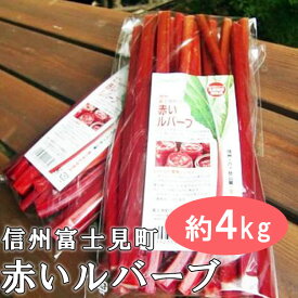 【ふるさと納税】＜2026年先行予約＞ 富士見町の赤いルバーブ約4kg（500g×8袋） 2026年6月上旬より順次発送　【 ルバーブ 赤いルバーブ 富士見町ルバーブ生産組合 野菜 ジャム 植物繊維 アントシアニン カリウム カルシウム 】