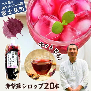 yӂ邳Ɣ[Łz s\ 9Jn ]H[ Zk ԎhVbv 6{ 500ml × 1{`20{ 2025NY Ԏh y Y_  X ԎhW[X ԂW[X Ԃ AJV\ 