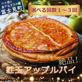 【ふるさと納税】 紅玉アップルパイ 冷凍便 選べるお届け回数 定期便 信州 八ヶ岳 パイ 焼き菓子 スイーツ ナラ 薪 ブドウ 枝 薪窯 ベーカリー りんご フルーツ ティータイム 食後 おやつ 八ヶ岳カントリーキッチンベーカリー ホクセイ 長野県 富士見町