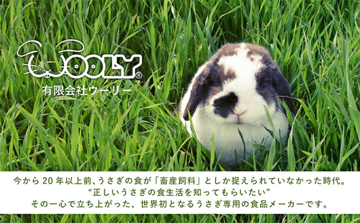 楽天市場 ふるさと納税 うさぎ用 富士見町産牧草セット 180g 3種類 雑貨 日用品 ペット用品 ペットフード ウサギ 長野県富士見町