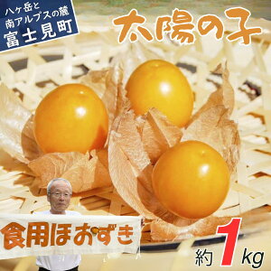 yӂ邳Ɣ[Łzy_sgpz t[cق z̎q 500g `1kg t[c ʕ { 쌧Y MBY x xm ground cherry Mtg  v[g j j LO a 