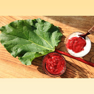 yӂ邳Ɣ[Łzo[uW150g@3@y HHi ؃W u₩ tbV _ Î_ς g[Xg i AW tBO   AgVAj z