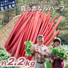 【ふるさと納税】＜2026年先行予約 6月頃より順次発送＞ 赤いルバーブ・フレッシュ 約2.2kg ※配送不可地域あり 野菜 ルバーブ 西洋野菜 食物繊維 カリウム カルシウム ビタミンC アントシアニン かぼちゃん農園 お届け：2026年6月頃〜10月下旬