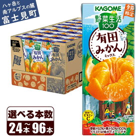 【ふるさと納税】先行予約 カゴメ 野菜生活100 有田みかんミックス 195ml 本数24本～96本 1日分のビタミンC 砂糖不使用 紙パック ビタミンC 健康 飲料 果汁 贈答用 有田 みかん 季節限定 期間限定 [11月より順次発送]