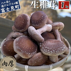 【ふるさと納税】 肉厚 生しいたけ 1kg 八ヶ岳山麓育ち 国産 朝採れ 安心安全 農薬不使用 ハウス栽培 芳醇な香り 椎茸 信州 送料無料