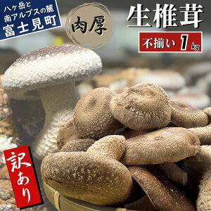 yӂ邳Ɣ[Łz 󂠂   500g`1kg xR[炿 Y ̂ SS _sgp nEX͔| Fȍ `s ő MB 