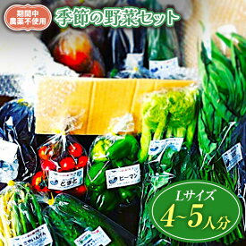 【ふるさと納税】【栽培期間中農薬不使用・無化学肥料・無家畜性肥料で育てた】 季節の 野菜セット ( Lサイズ )【2026年7月下旬～発送】| 旬 野菜 10種類前後 4～5人分 セット シードマイスター 農薬不使用 無化学肥料 無家畜性肥料 信州 八ヶ岳 長野県 諏訪郡 原村
