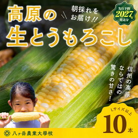 【ふるさと納税】 【2027年予約】 朝採れ 直送 フルーツのような甘さ 『 皮付き 』 生とうもろこし 10本 | 八ヶ岳農業大学校 とうもろこし トウモロコシ 自然 旨味 甘味 生食 信州 八ヶ岳 長野県 諏訪郡 原村