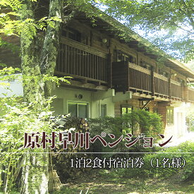【ふるさと納税】早川ペンション　ご宿泊券【1泊2食1名様】 旅行