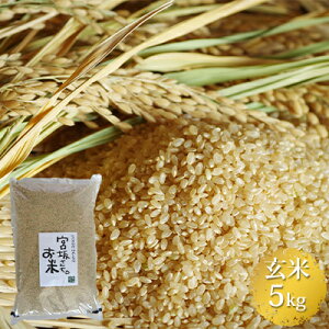 �y�ӂ邳�Ɣ[�Łz�����x�ň�������� ��߂��Ȃ�5kg ����