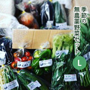 yӂ邳Ɣ[Łz2025Nxs\yto؉zG߂̖_؁@LZbg ₳ lߍ킹 10ޑO 4`5lO H Y 쌧Y Y Yn @͂F2026N7{`2026N9