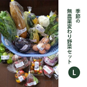 yӂ邳Ɣ[Łz2025Nxs\yto؉zG߂̖_ς؁@LZbg ₳ lߍ킹 ς 10ޑO 4`5lO H Y 쌧Y Y Yn @͂F2026N7{