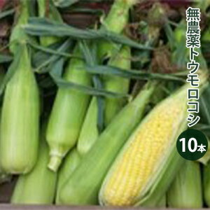 yӂ邳Ɣ[Łz2025Nxs\yto؉z_gERV10{ ₳ Ė Ƃ낱 R[  䥂Ŗ {C Y 쌧Y Y Yn @͂F2026N8