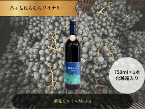 yӂ邳Ɣ[Łzx͂ނ烏Ci[ 郏C Merlot  1{  쌧Y[ ~fBA{fB ԃC