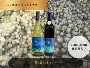 yӂ邳Ɣ[Łzx͂ނ烏Ci[ ݔ 2{Zbg   ԃC C Vhl h ~fBA{fB ʎ XpCV[ 悢^j