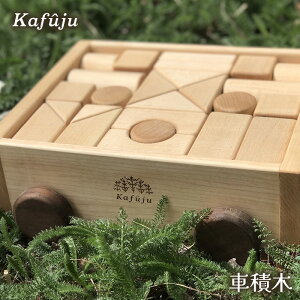 yӂ邳Ɣ[ŁzԐϖ  xr[ Ԃ LbY oYj aj  q v[g 蕨