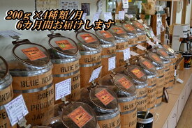【ふるさと納税】396 スペシャリティ コーヒー 定期便 【 豆 】6か月間