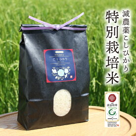 【ふるさと納税】044 特別栽培米こしひかり 3kg×2袋