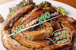 yӂ邳Ɣ[Łz365yLvEAEghAEBBQzW[V[ȓ[Xe[L1kg×3