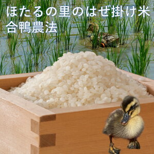 yӂ邳Ɣ[Łz 218 ق̗̂͂| 10kg_@@Vė\tII