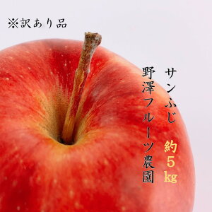 yӂ邳Ɣ[Łz395 s\ 󂠂  Tӂ5kg 11{ȍ~yVt[c_z