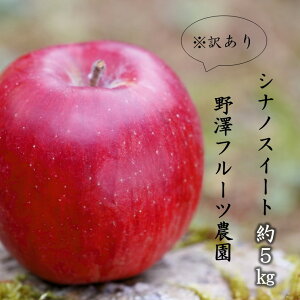 yӂ邳Ɣ[Łz 387 s\ 󂠂 񂲁FVimXC[g5kg 11{ȍ~yVt[c_z