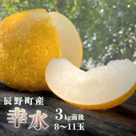 【ふるさと納税】227 先行予約 梨 幸水 【野澤フルーツ農園】