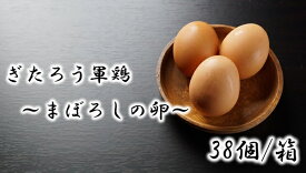 【ふるさと納税】293 幻 の 卵 ぎたろう 軍鶏 の 生みたて たまご 38個