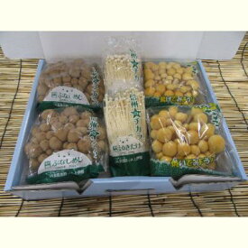 楽天市場】ふるさと納税 長野県箕輪町の通販