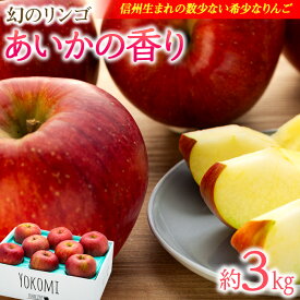 【ふるさと納税】先行予約 りんご あいかの香り 約3kg セット 2024年 令和6年度発送分 リンゴ 林檎 長野 フルーツ 果物 信州産 長野県産 特産 産地直送 おすすめ　【 箕輪町 】　お届け：2024年11月～2025年2月ごろ