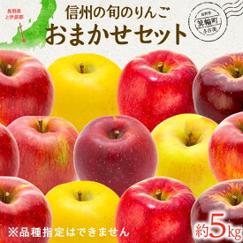 【ふるさと納税】先行予約 訳あり りんご 信州の旬のりんごおまかせ 約5kg セット 2024年 令和6年度発送分 リンゴ 林檎 長野 フルーツ 果物 信州産 長野県産 特産 産地直送 家庭用 おすすめ　【 箕輪町 】　お届け：2024年8月上旬～2025年2月中旬ごろ