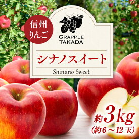 【ふるさと納税】信州りんご シナノスイート 3kg ※クレジット決済限定 りんご リンゴ 林檎 長野 フルーツ 果物 信州産 長野県産 特産 産地直送 おすすめ 　お届け：2026年10月中旬～10月下旬