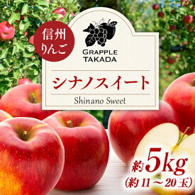 【ふるさと納税】信州りんご シナノスイート 5kg ※クレジット決済限定 りんご リンゴ 林檎 長野 フルーツ 果物 信州産 長野県産 特産 産地直送 おすすめ 　お届け：2026年10月中旬～10月下旬