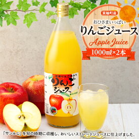【ふるさと納税】おひさまいっぱいりんごジュース 1000ml×2本 リンゴジュース りんご リンゴ 林檎 サンふじ 長野 フルーツ 果物 信州産 長野県産 特産 産地直送 おすすめ