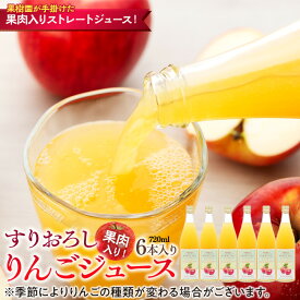 【ふるさと納税】果肉入り！すりおろしりんごジュース 6本入り リンゴジュース りんご リンゴ 林檎 長野 フルーツ 果物 信州産 長野県産 特産 産地直送 おすすめ