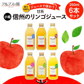 【ふるさと納税】果汁100％ジュースで味わう 信州のりんご 甘系 小瓶 6本 セット 250ml 6本 セット 詰め合わせ りんごジュース 林檎ジュース ミックスジュース 信州りんご 信州りんごジュース りんご100 100％ジュース 果汁飲料 飲料 飲み物 長野 長野県 箕輪町