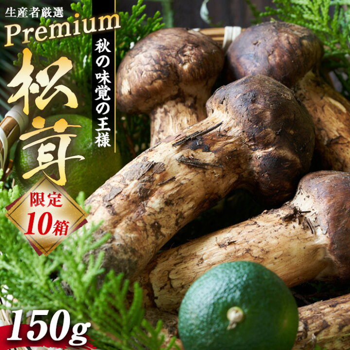 楽天市場】【ふるさと納税】数量限定 松茸 生産者厳選 プレミアム 