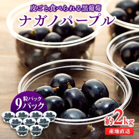 【ふるさと納税】ぶどう ナガノパープル 粒パック 約2kg 皮ごと食べられる黒葡萄 葡萄 ぶどう ブドウ 長野 フルーツ 果物 信州産 長野県産 特産 産地直送 おすすめ デザート 　お届け：2026年9月中旬～下旬ごろ