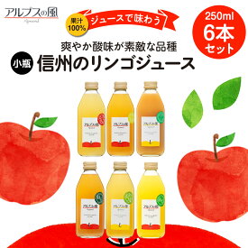 【ふるさと納税】果汁100％ジュースで味わう 爽やか酸味が素敵な品種 リンゴジュース 小瓶 6本 セット 詰め合わせ ジュースで味わう信州のリンゴ 酸味爽やか りんご 林檎 アップル アップルジュース 無添加 飲料 飲料類 甘い 濃厚 長野 長野県