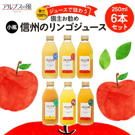 【ふるさと納税】果汁100％ジュースで味わう 品種別 リンゴジュース 園主お任せ 小瓶 6本 セット 詰め合わせ 園主お勧め りんご 林檎 アップル アップルジュース にんじん ミックスジュース 無添加 飲料 飲料類 甘い 豊饒な香り 酸味爽やか 濃厚 長野 長野県