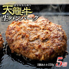 【ふるさと納税】【希少な黒毛和牛】天龍牛生ハンバーグ150g×5個 ハンバーグ 天龍牛 黒毛和牛 長野県産 信州産 お肉 国産 希少